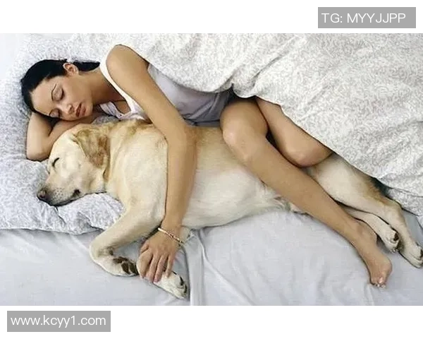 中国女性对足球明星的喜爱程度及其背后的文化因素探讨