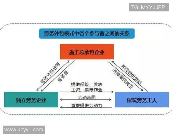 深圳排球队状态分析与未来发展展望的深度探讨